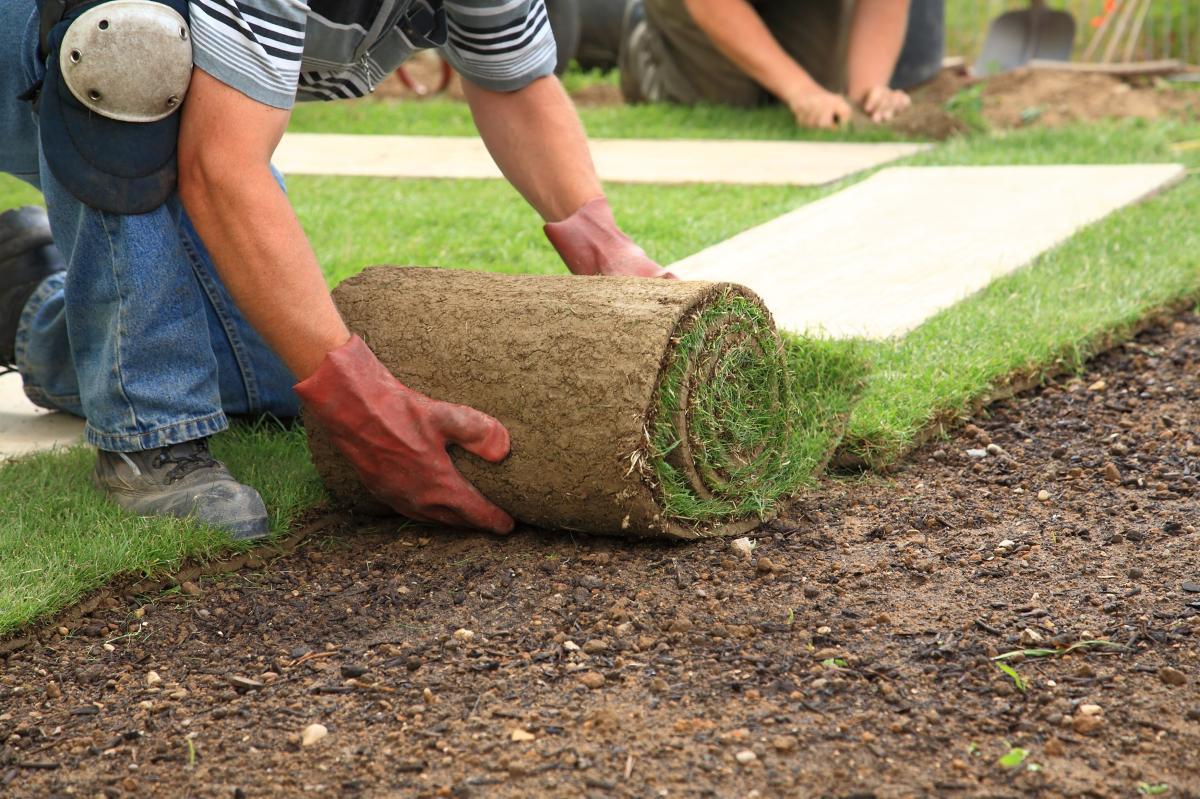 What Is The Average Cost Of Installing Artificial Turf? What Is The Average Cost Of Installing Artificial Turf? by Freya Parker
