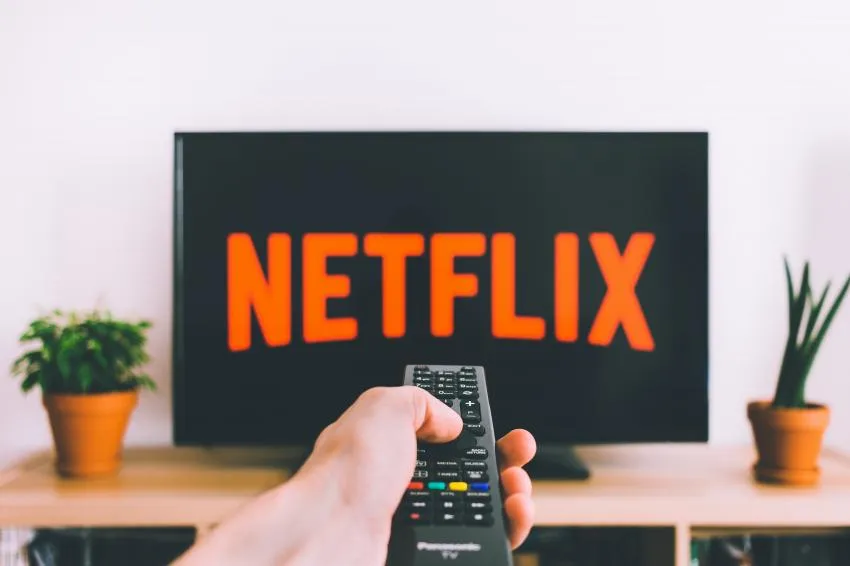 https://images.pexels.com/photos/987586/pexels-photo-987586.jpeg?auto=compress&cs=tinysrgb&dpr=2&h=750&w=1260