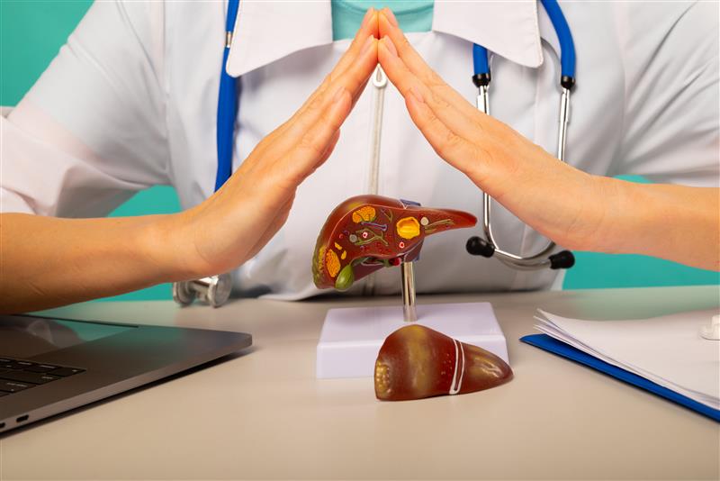Treatment For Fatty Liver Disease And Transplant Cost In India by Transplant Liver India