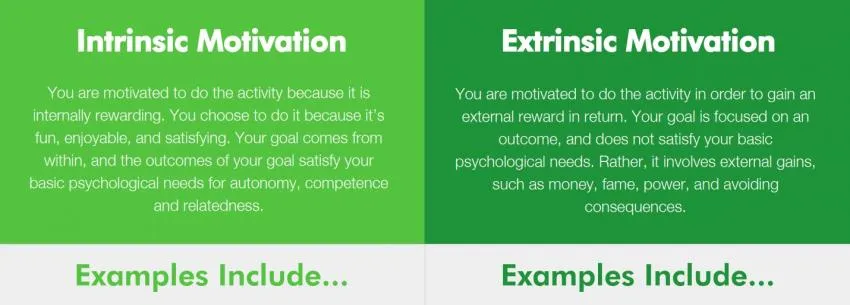 intrinsic vs extrinsic motivation