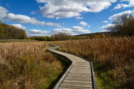 Image from NJ Hiking