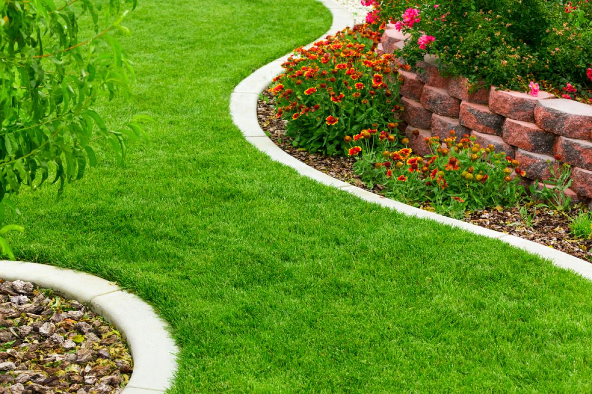 Lawn Edging Ideas: Creative Ways To Define And Beautify Your Garden by kafeelansari1