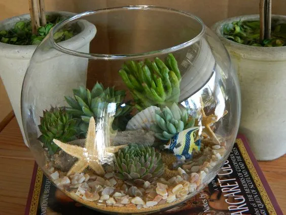 planting in succulents in fish bowl