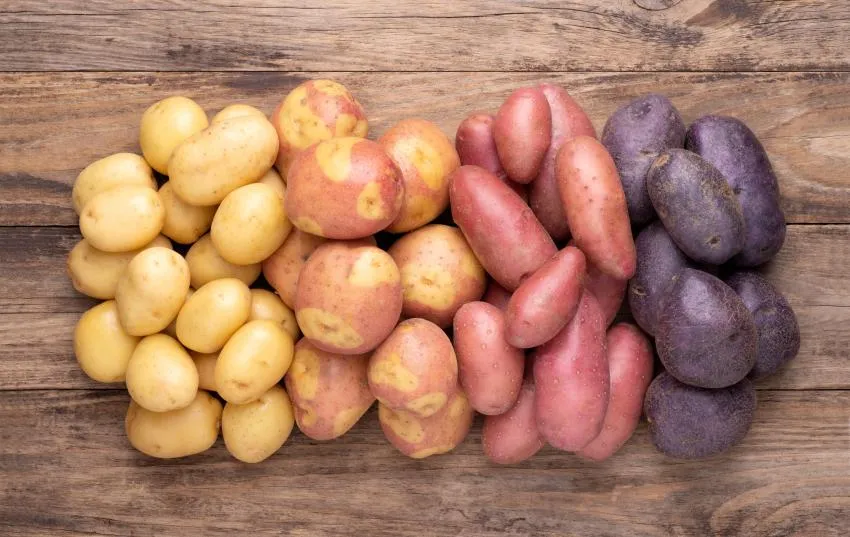 Potatoes are universally beloved Potatoes are the greatest food