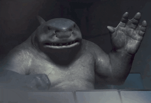 adorable shark in the suicide squad