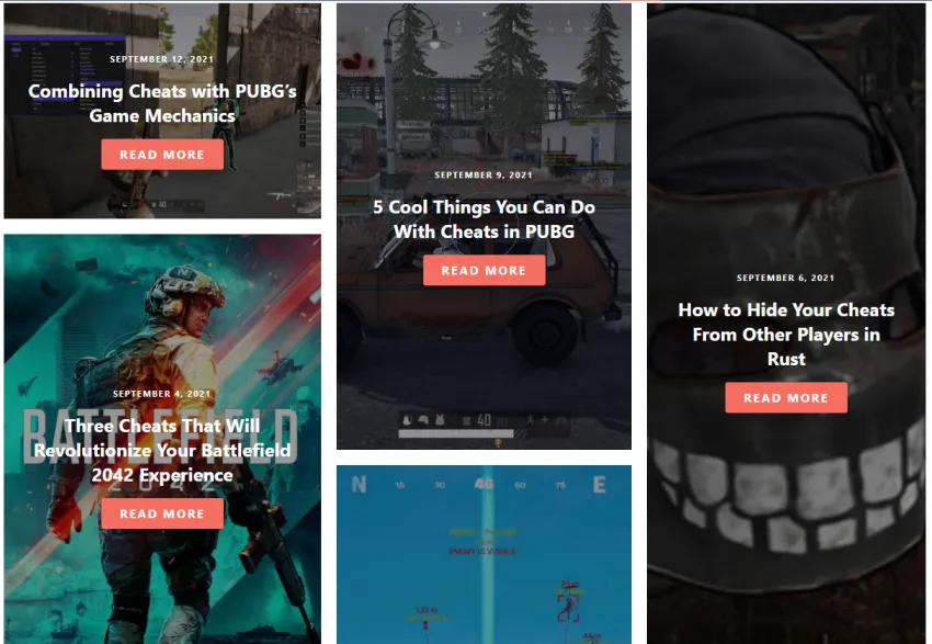 Hacking Site PrivateCheatz Hacking site blog page looking official