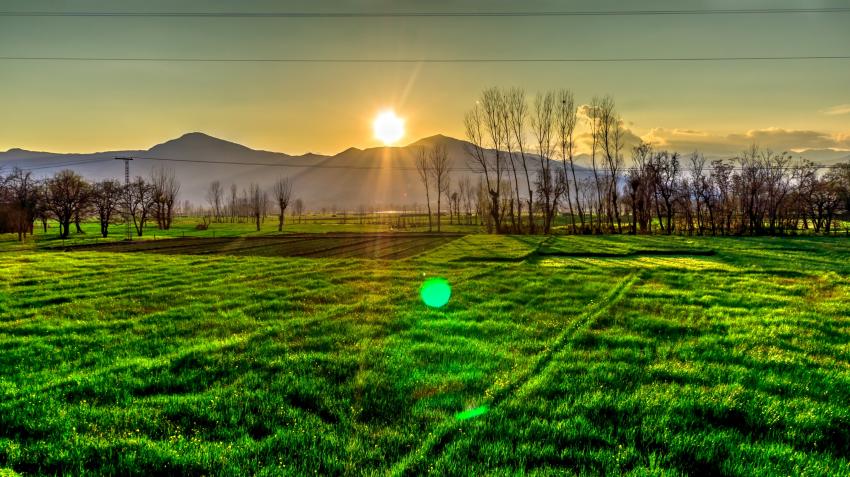 SIX STEPS ON HOW TO CREATE MORNING PEACE by Macharia M. Mwangi