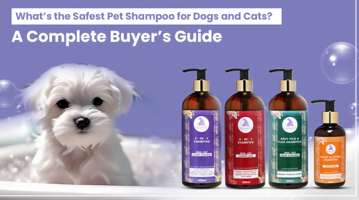 What’s The Safest Pet Shampoo For Dogs And Cats? A Complete Buyer’s Guide What’s The Safest Pet Shampoo For Dogs And Cats? A Complete Buyer’s Guide by furrfits