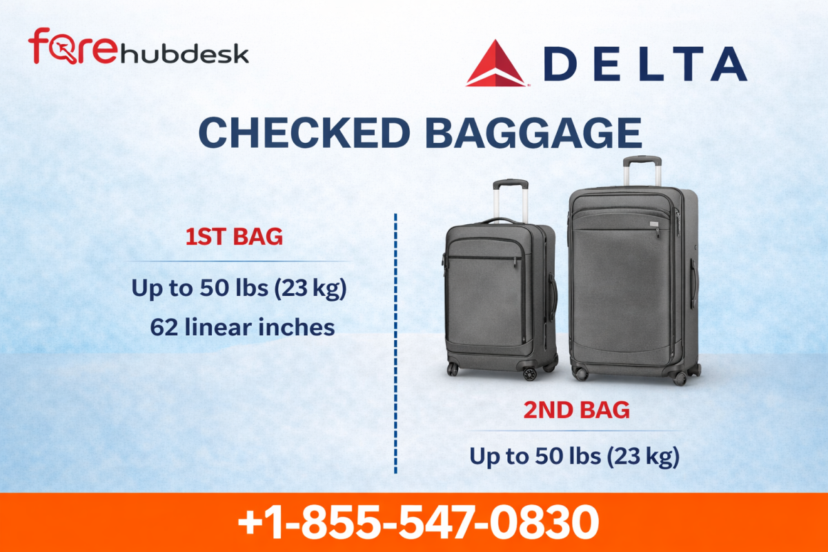 What Is Delta’s Checked Bag Fee? by noaheo