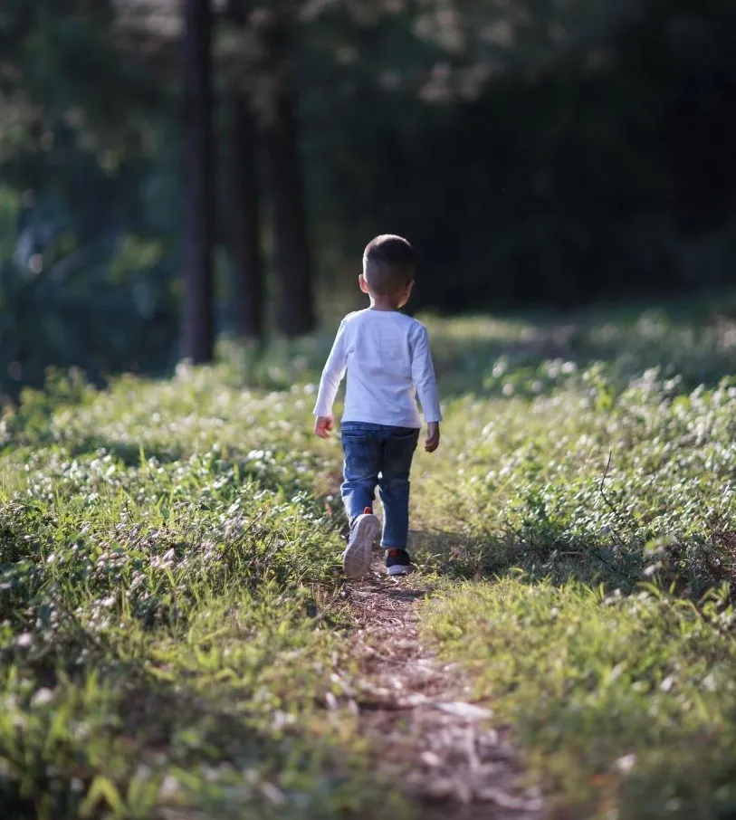 a boy lost in the forest