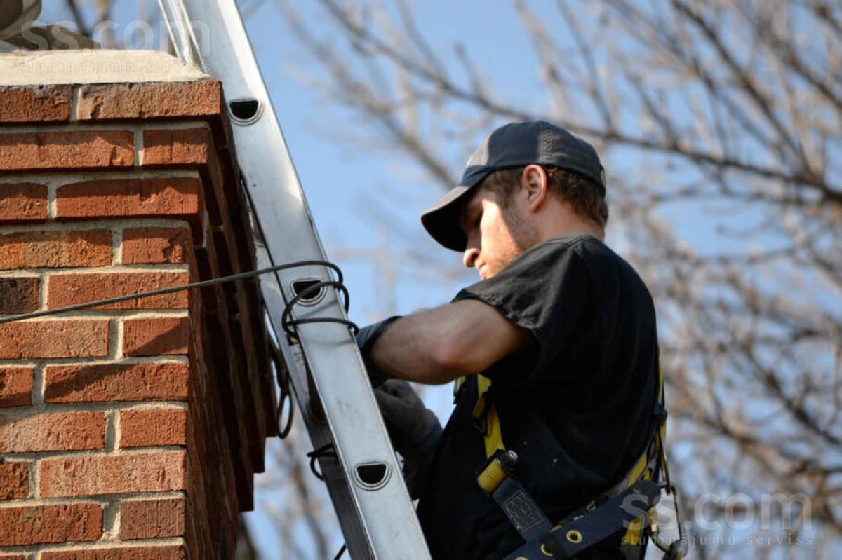 How Does Chimney Animal Removal In Alexandria Help Prevent Structural Damage How Does Chimney Animal Removal In Alexandria Help Prevent Structural Damage by Alexandria Chimney Sweep