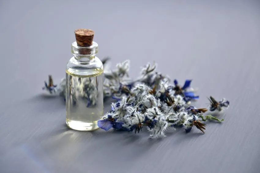 lavender calming scent