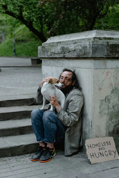 dogs help us to cope with crisis dogs help us to cope with crisis