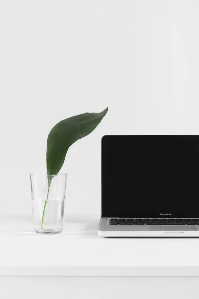 Water with a leaf next to a laptop