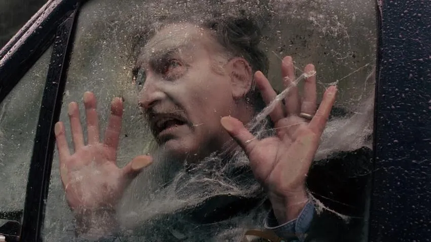 Wood Mites Wood Mites