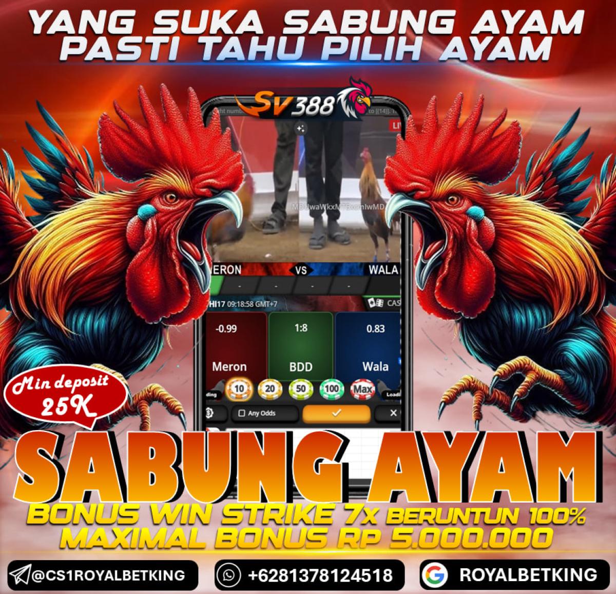 AGEN SABUNG AYAM ONLINE BONUS 100% ROYALBETKING by AGENROYALBETKING