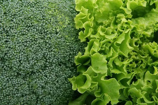 broccoli lettuce leafy greens