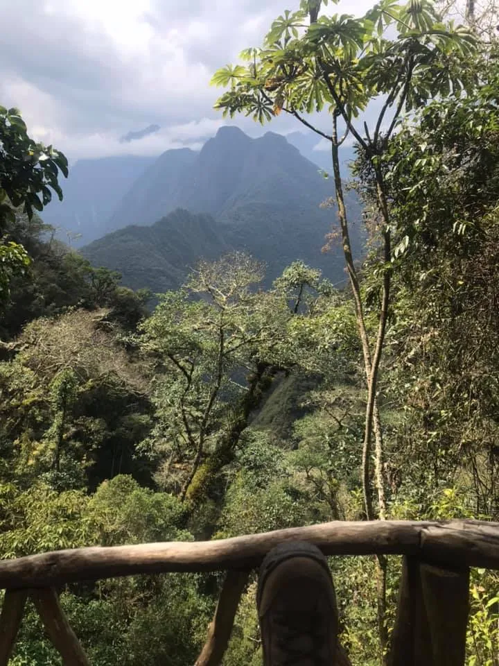 The Cloud Forest in Peru