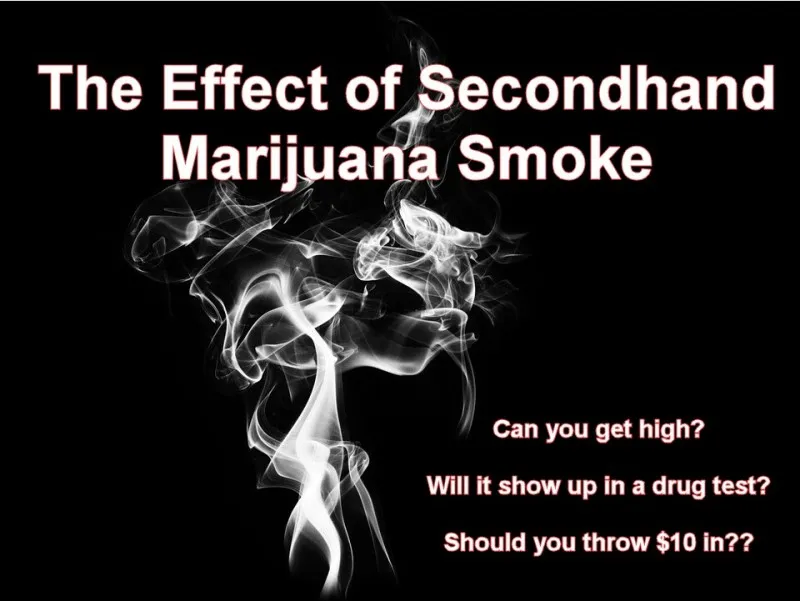 effect of secondhand marijuana smoke effect of secondhand marijuana smoke