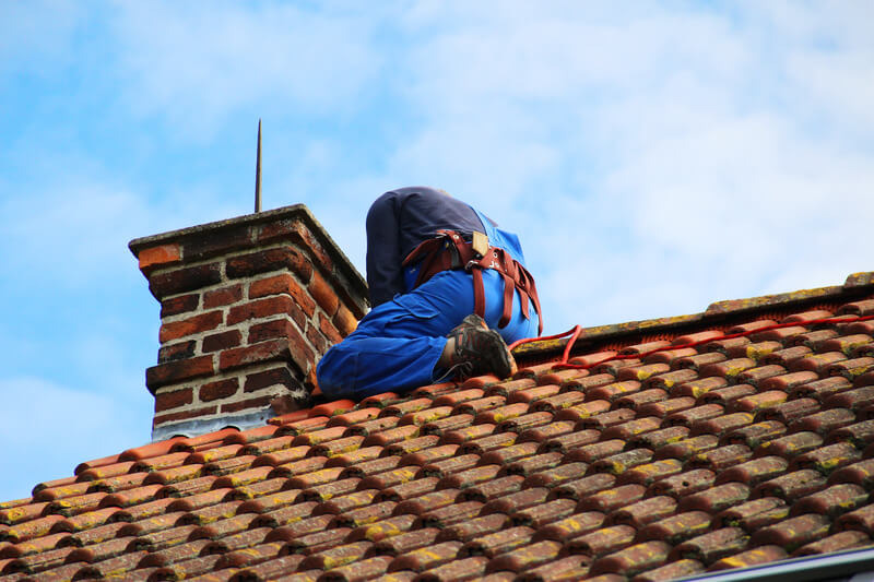 What Are The Signs You Need Chimney Animal Removal In Phoenix What Are The Signs You Need Chimney Animal Removal In Phoenix by Phoenix Chimney Sweep