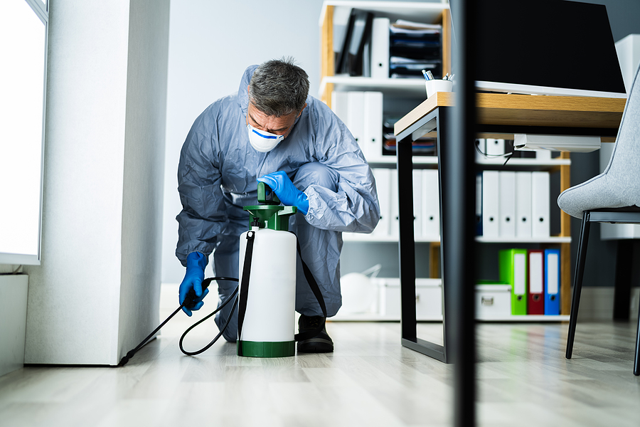 Why Regular Inspections Matter For Pest Prevention Woodstock Residences Why Regular Inspections Matter For Pest Prevention Woodstock Residences by Pest AI