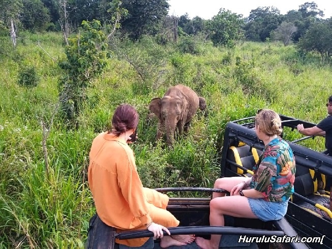 Hurulu Eco Park by kafeelansari1