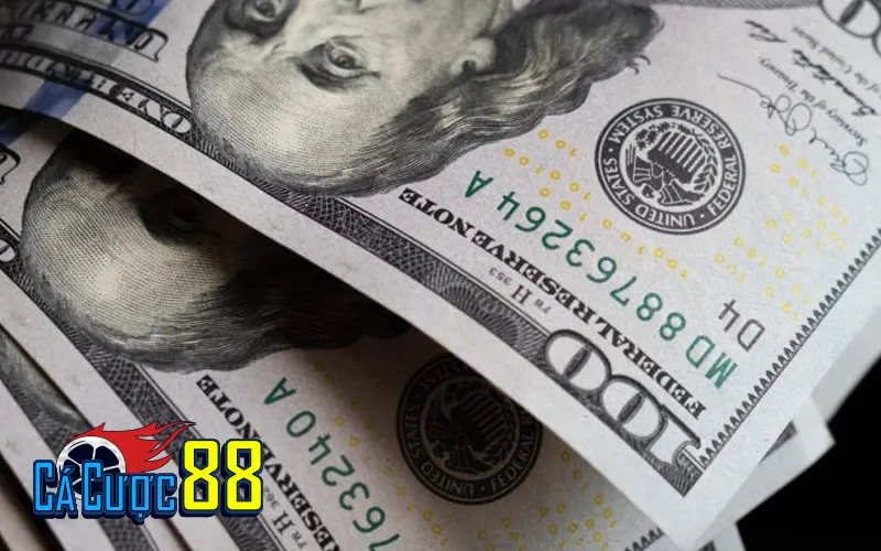 Cách Chơi Cá Độ Bóng Đá Không Thua: Có Thật Sự Khả Thi? by Cacuoc88