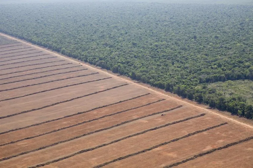 Soy farming