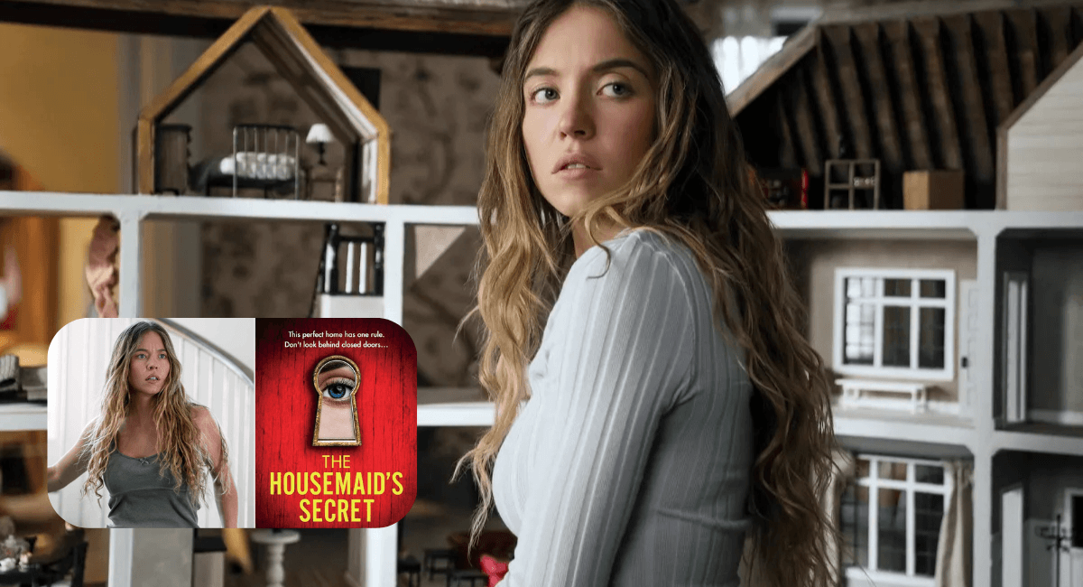 Will Amanda Seyfried Return In Housemaid's Secret Sequel by Athena99