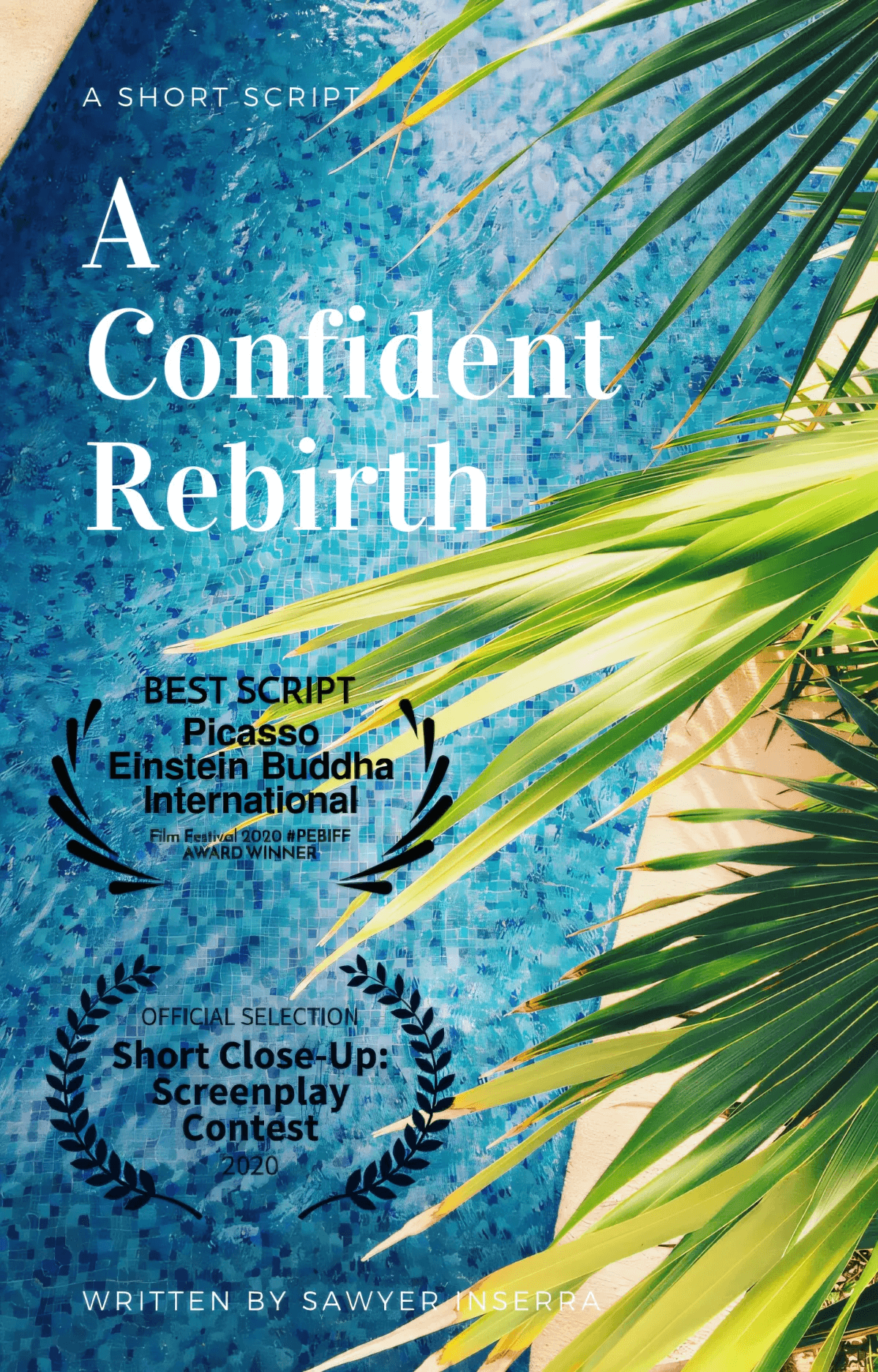 A Confident Rebirth by Sawyer Inserra