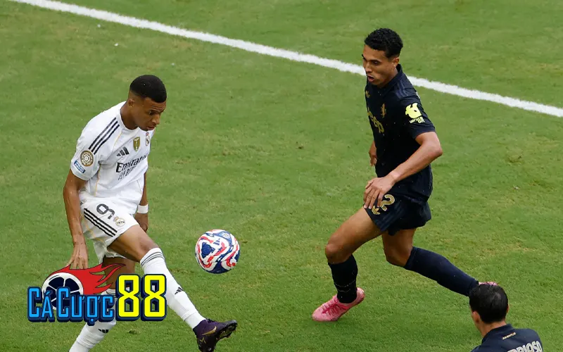 Kèo Tài Xỉu 2 3/4 Là Sao? Giải Thích Rõ Ràng Cho Người Mới by Cacuoc88