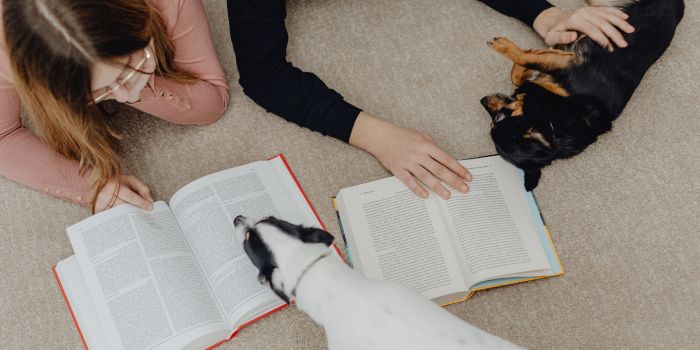 A Complete Guide To Reliable Homework Help Canada Services by hazel wills