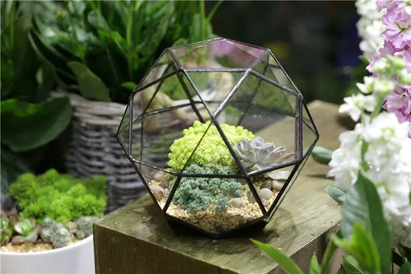 planting succulents in geometric sphere