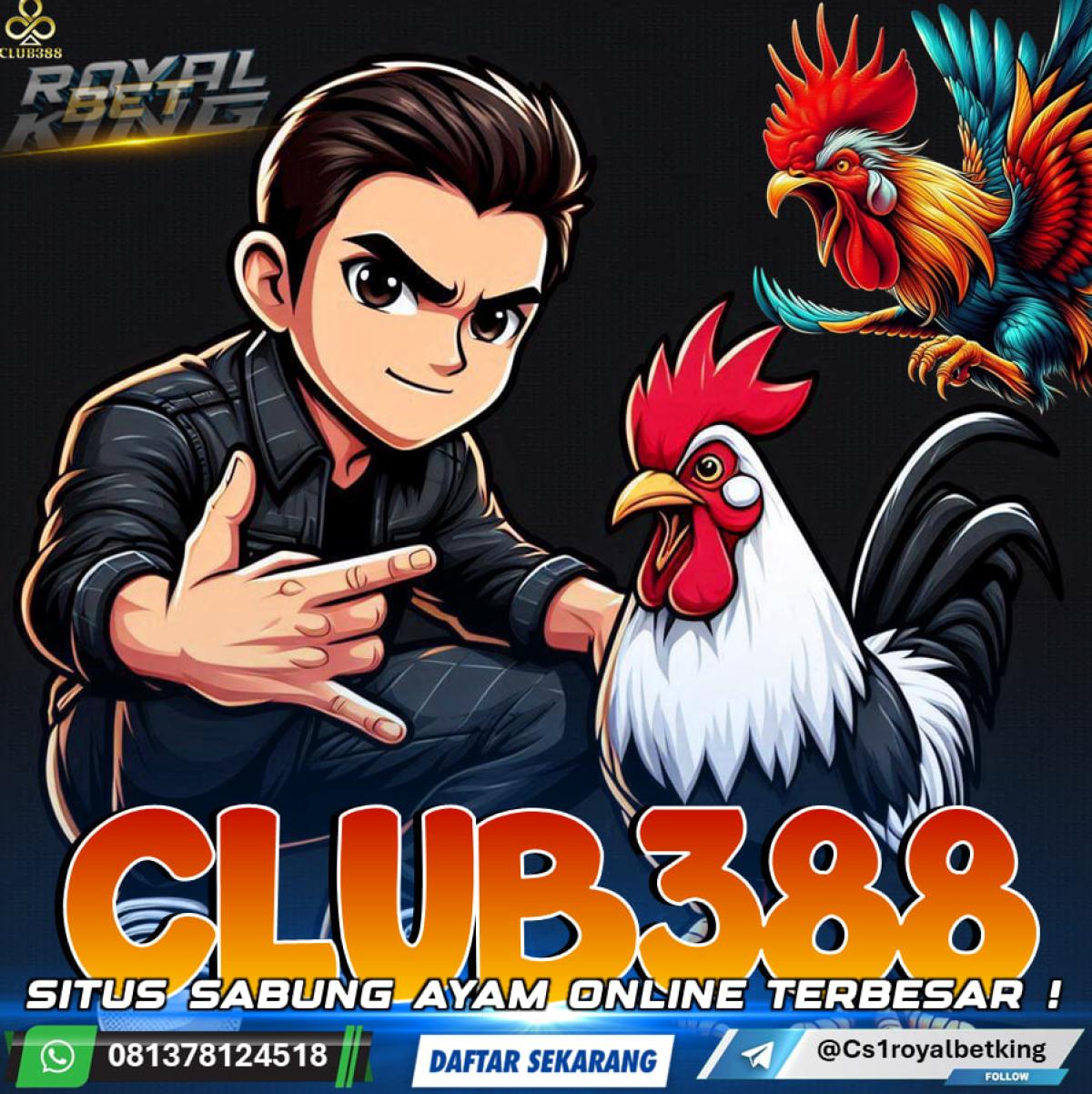 DAFTAR SITUS SABUNG AYAM CLUB388| AGEN SABUNG AYAM ONLINE TERBESAR by AGENROYALBETKING