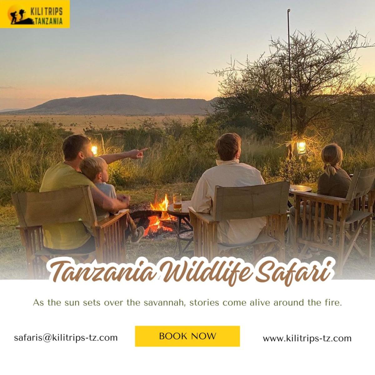 Tanzania Wildlife Safari by Kili Trips