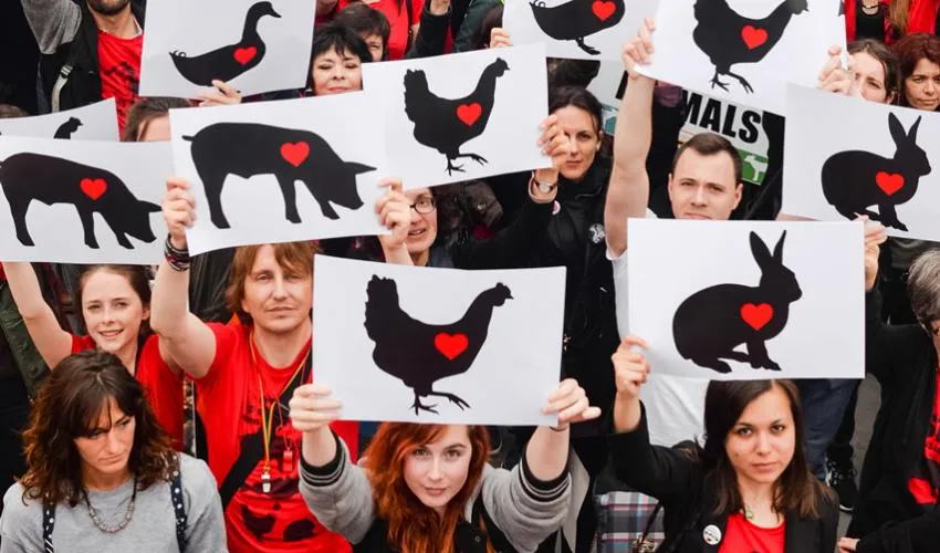 For the Rights of Animals