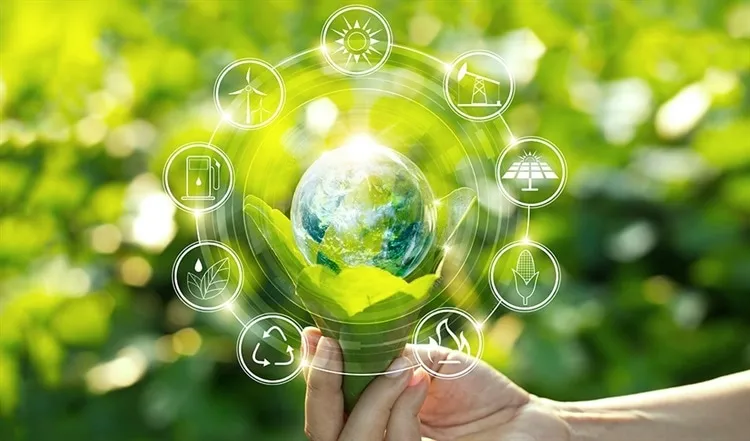 Sustainable Material