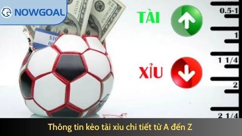 Hướng Dẫn Chi Tiết Cách Chơi Kèo Tài Xỉu Bóng Đá 2025 by Now goal
