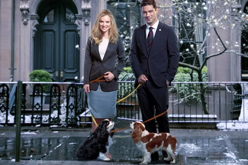 Unleashing Mr Darcy