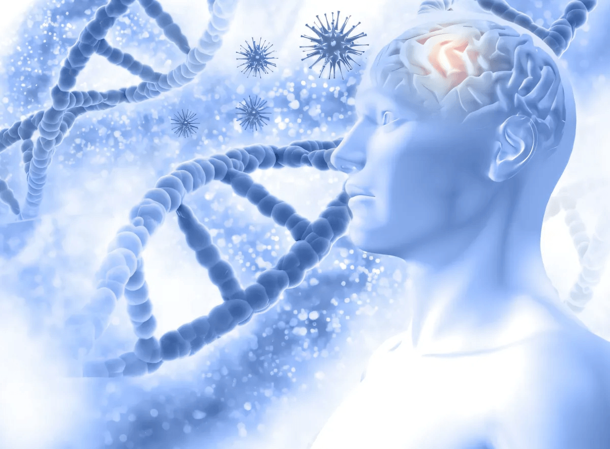 Schumann resonance and the brain