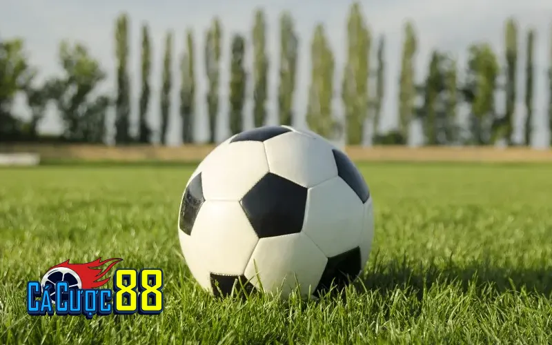 Ý Nghĩa Các Loại Kèo Bóng Đá & Cách Đọc Chuẩn Xác by Cacuoc88