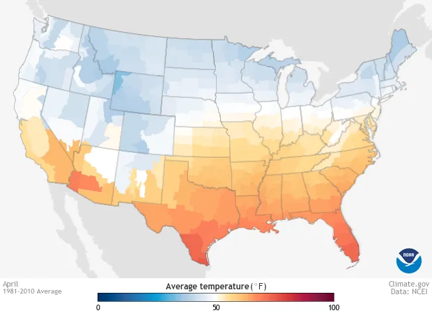 ¿En qué zona de rusticidad vives? What hardiness zone do you live in?