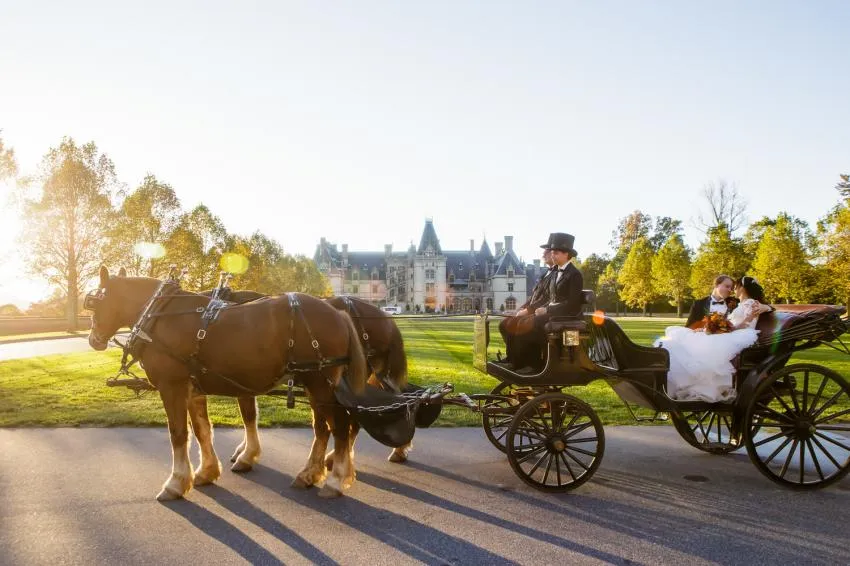 carriage riding at baltimore