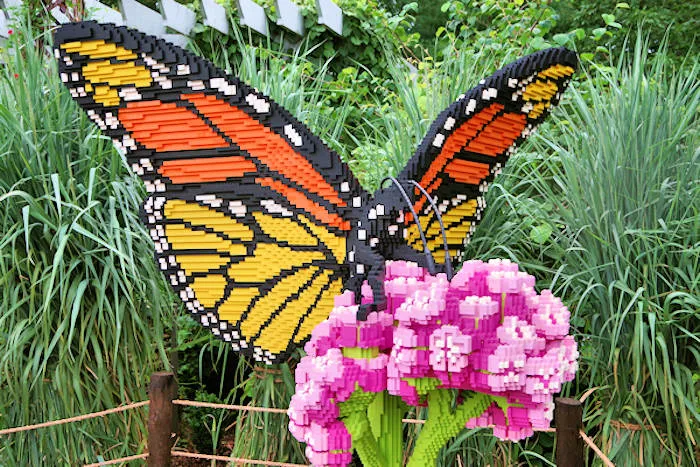 exhibits of the North Carolina Arboretum