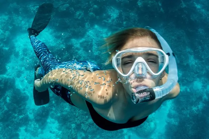 snorkeling in la jolla