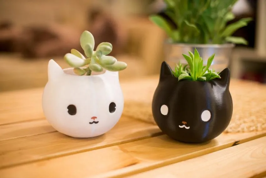 Cat shaped planters, houseplants