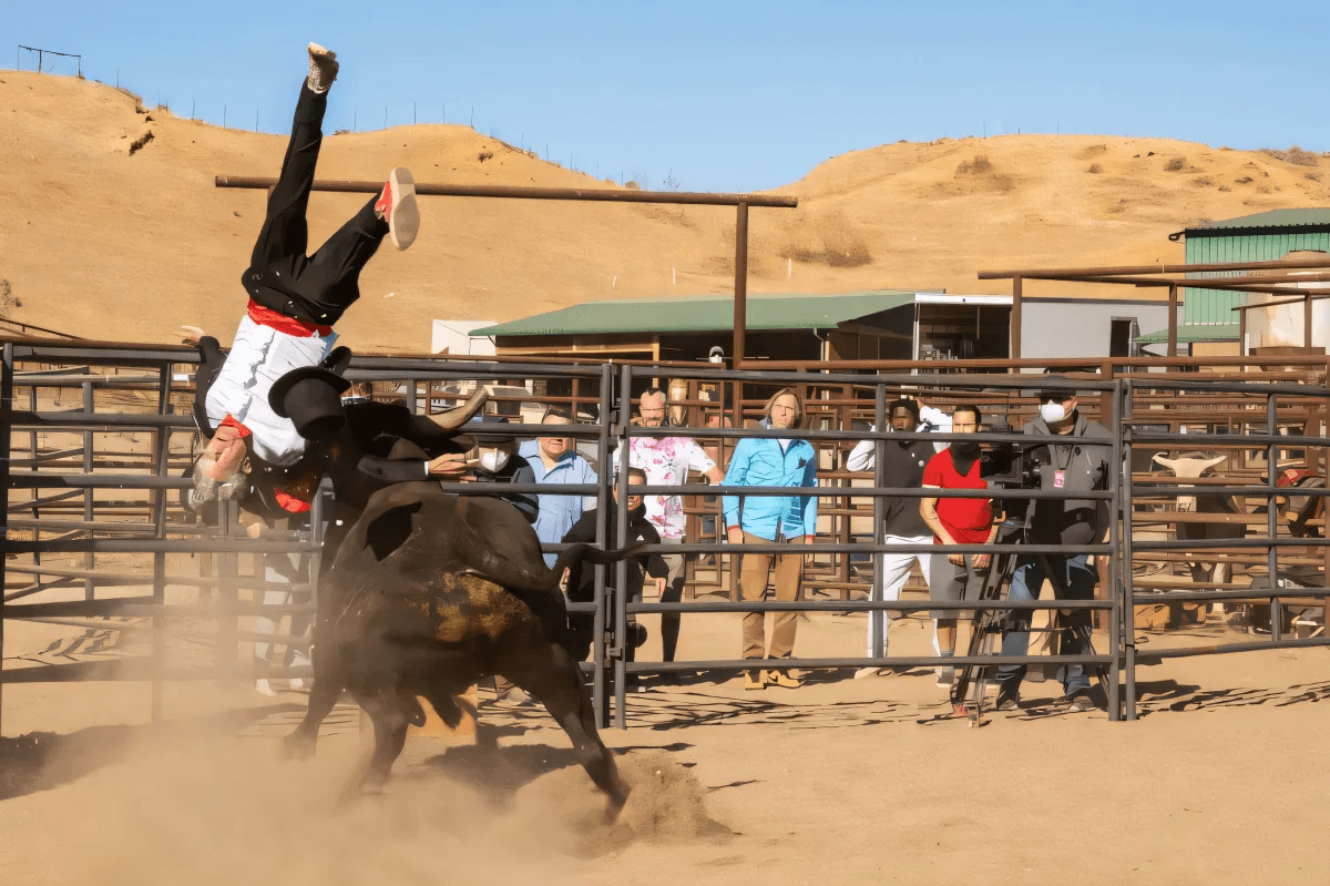 11 Things You Need To Know About "Jackass Forever" 11 Things You Need To Know About "Jackass Forever" by Alfred Hood