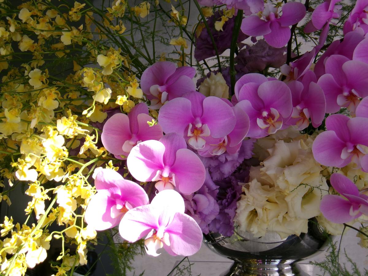 Discover The Best Flower Delivery Melbourne Has To Offer With XBLOOMSclub by xbloomsclub