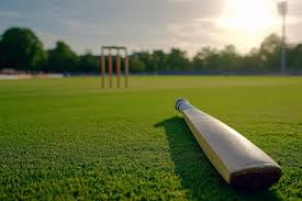 The Complete Guide To Building The Perfect Cricket Turf by OSMS Turf