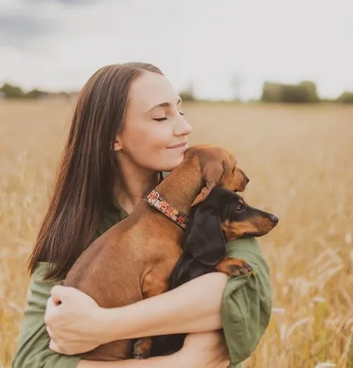 dogs help reduce stress dogs help reduce stress
